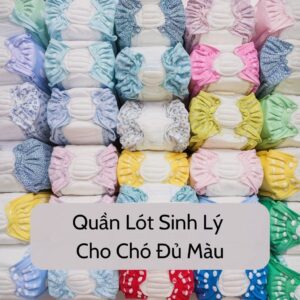 Quần Lót Sinh Lý Cho Chó Đủ Màu 2