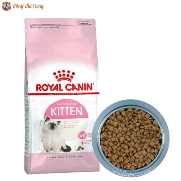 Thức Ăn Hạt Khô Royal Canin Kitten Cho Mèo Con 1